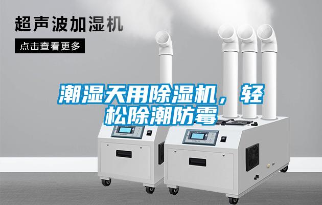 潮濕天用除濕機(jī)，輕松除潮防霉