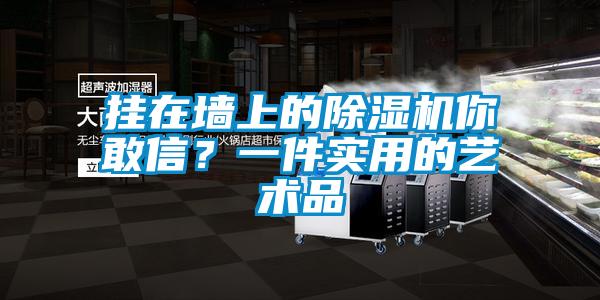 掛在墻上的除濕機你敢信？一件實用的藝術品