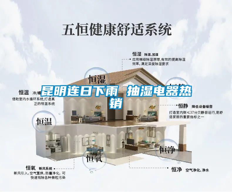 昆明連日下雨 抽濕電器熱銷(xiāo)
