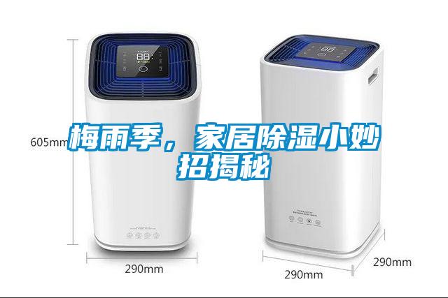 梅雨季，家居除濕小妙招揭秘