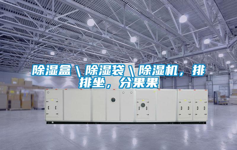 除濕盒＼除濕袋＼除濕機，排排坐，分果果