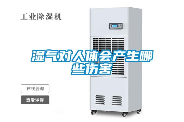 濕氣對人體會產生哪些傷害