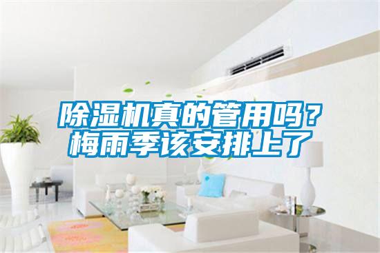 除濕機真的管用嗎？梅雨季該安排上了