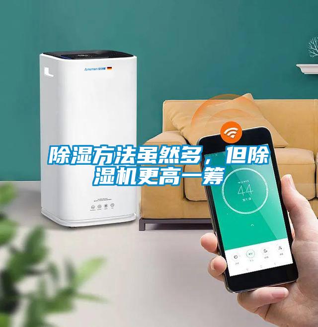 除濕方法雖然多,但除濕機更高一籌