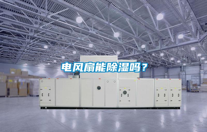 電風扇能除濕嗎？