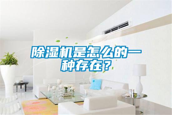 除濕機是怎么的一種存在?