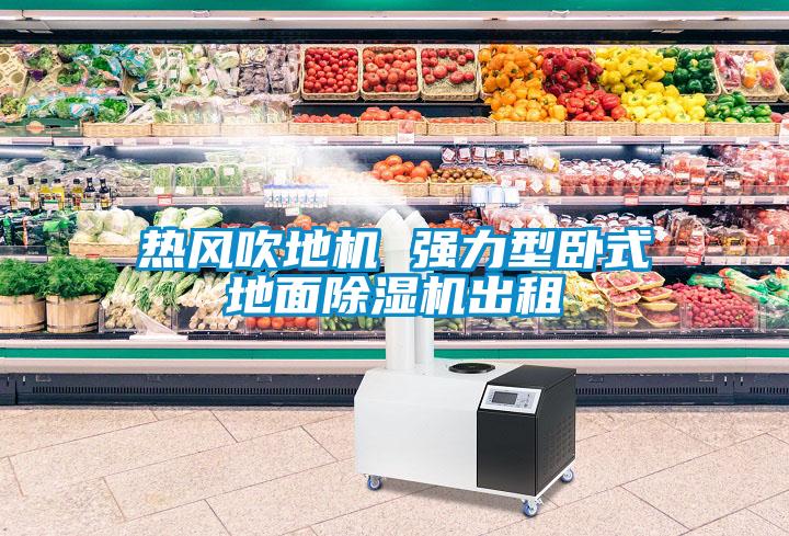 熱風(fēng)吹地機(jī) 強(qiáng)力型臥式地面除濕機(jī)出租