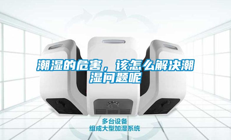 潮濕的危害，該怎么解決潮濕問(wèn)題呢