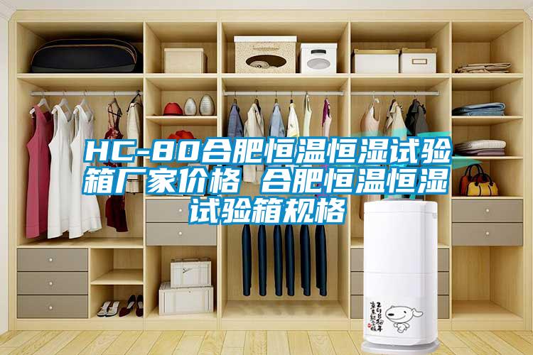 HC-80合肥恒溫恒濕試驗(yàn)箱廠家價(jià)格 合肥恒溫恒濕試驗(yàn)箱規(guī)格