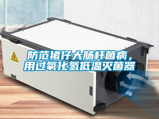 防范豬仔大腸桿菌病，用過氧化氫低溫滅菌器