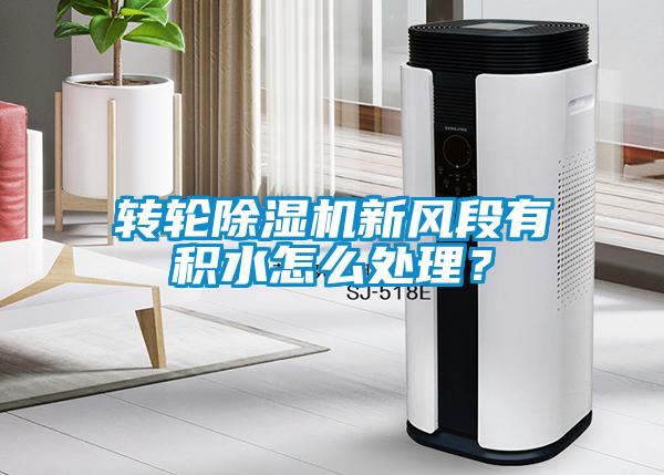 轉輪除濕機新風段有積水怎么處理？