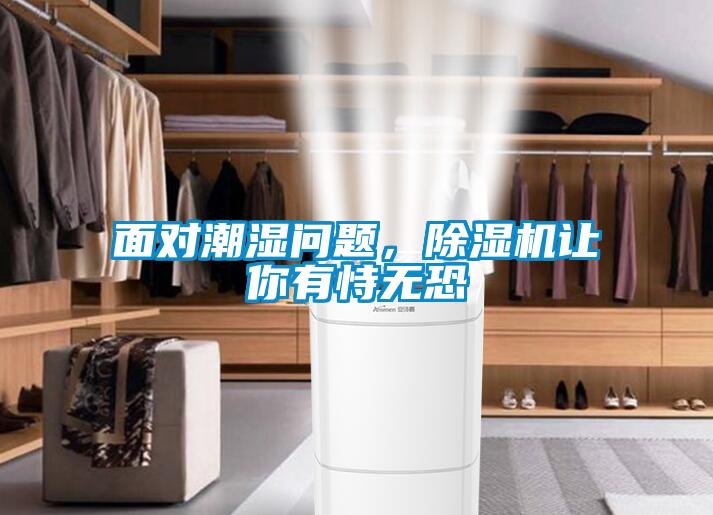 面對潮濕問題，除濕機讓你有恃無恐