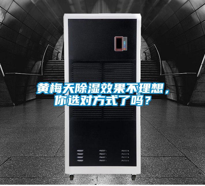 黃梅天除濕效果不理想，你選對方式了嗎？