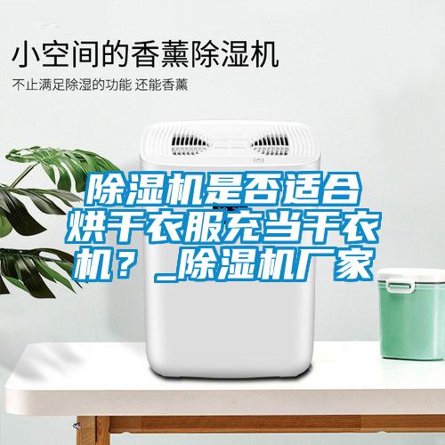 除濕機是否適合烘干衣服充當(dāng)干衣機?_除濕機廠家