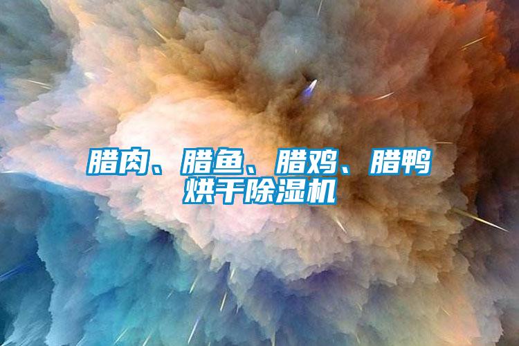 臘肉、臘魚、臘雞、臘鴨烘干除濕機