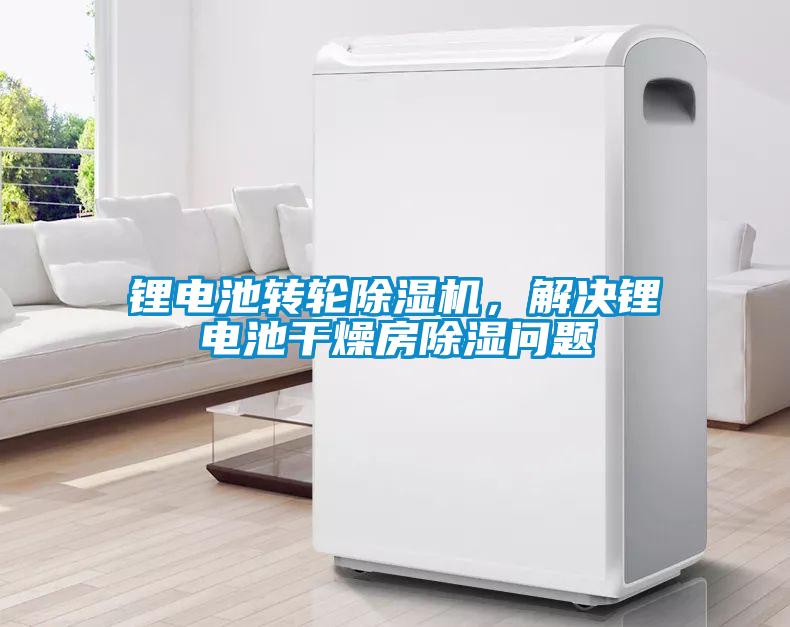 鋰電池轉(zhuǎn)輪除濕機(jī),解決鋰電池干燥房除濕問題