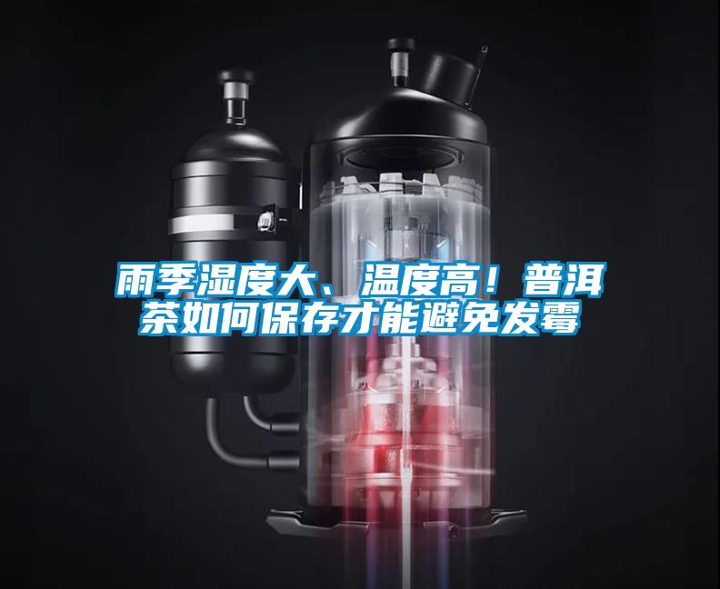 雨季濕度大、溫度高！普洱茶如何保存才能避免發霉