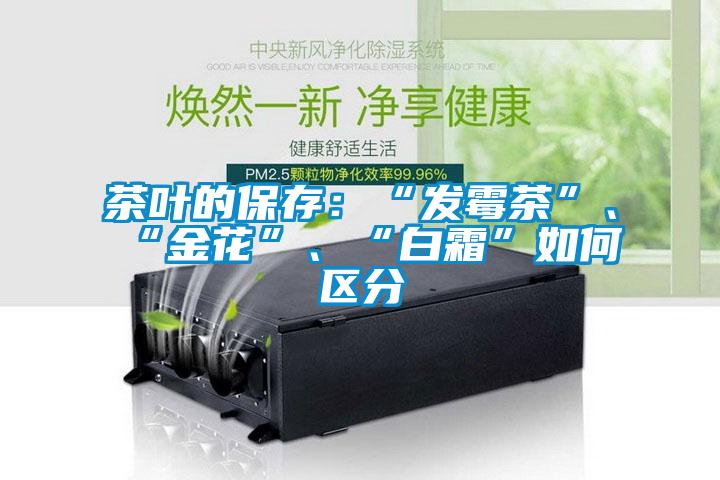 茶葉的保存：“發霉茶”、“金花”、“白霜”如何區分