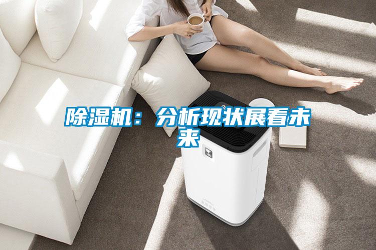 除濕機：分析現狀展看未來