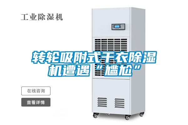 轉輪吸附式干衣除濕機遭遇“尷尬”