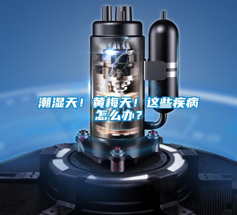 潮濕天！黃梅天！這些疾病怎么辦？