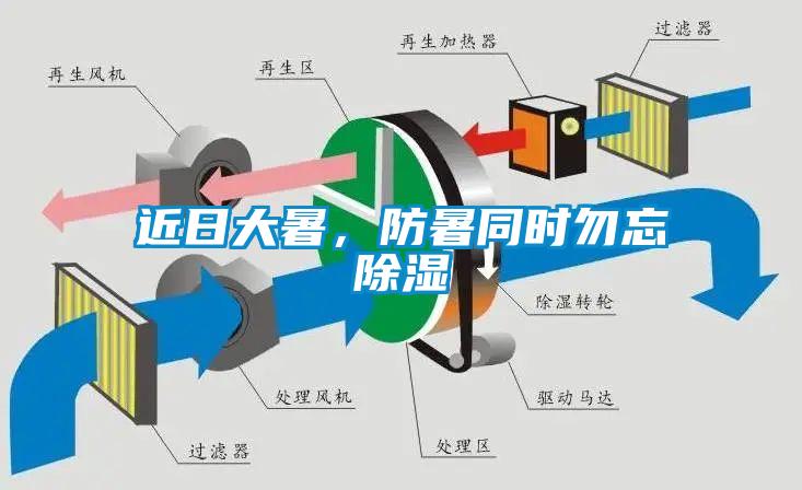 近日大暑，防暑同時勿忘除濕