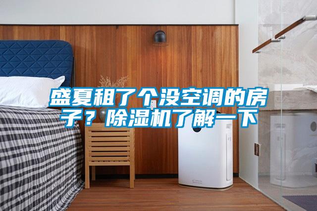 盛夏租了個沒空調的房子？除濕機了解一下