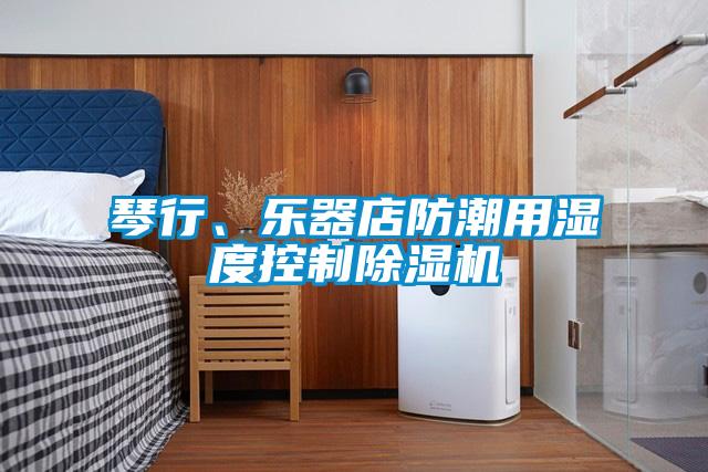 琴行、樂(lè)器店防潮用濕度控制除濕機(jī)