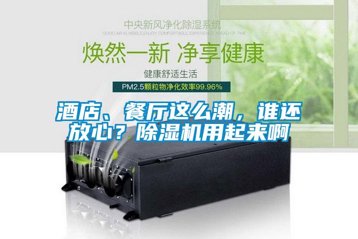 酒店、餐廳這么潮，誰還放心？除濕機用起來啊