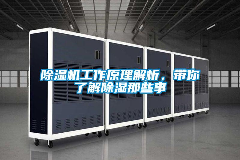除濕機工作原理解析，帶你了解除濕那些事