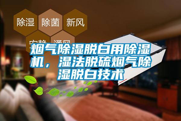 煙氣除濕脫白用除濕機，濕法脫硫煙氣除濕脫白技術