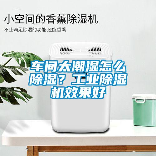 車間太潮濕怎么除濕?工業(yè)除濕機(jī)效果好