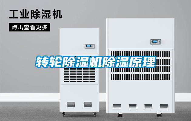 轉輪除濕機除濕原理
