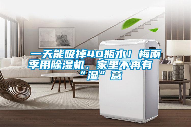 一天能吸掉40瓶水！梅雨季用除濕機(jī)，家里不再有“濕”意