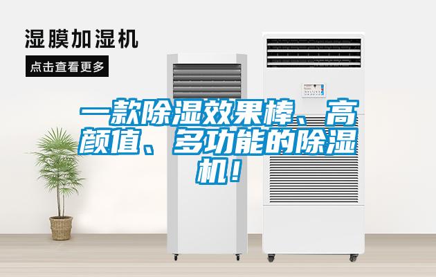 一款除濕效果棒、高顏值、多功能的除濕機！