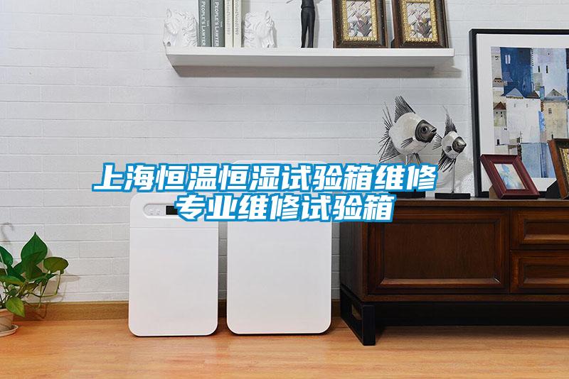 上海恒溫恒濕試驗箱維修 專業(yè)維修試驗箱