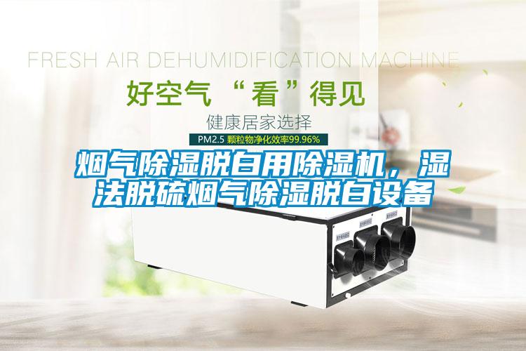 煙氣除濕脫白用除濕機，濕法脫硫煙氣除濕脫白設備
