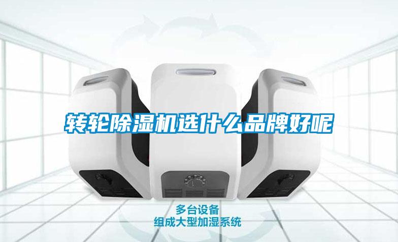 轉輪除濕機選什么品牌好呢
