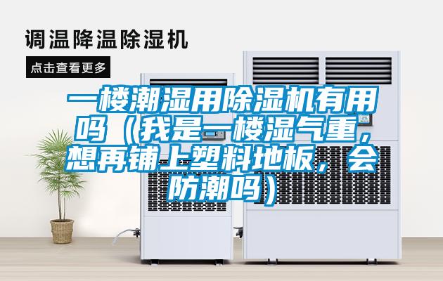 一樓潮濕用除濕機有用嗎（我是一樓濕氣重，想再鋪上塑料地板，會防潮嗎）