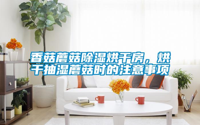香菇蘑菇除濕烘干房，烘干抽濕蘑菇時(shí)的注意事項(xiàng)