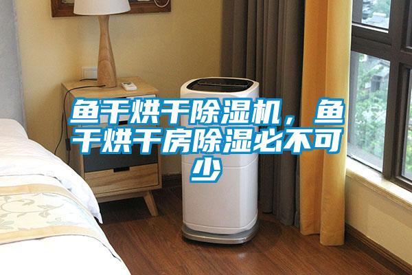 魚(yú)干烘干除濕機(jī),魚(yú)干烘干房除濕必不可少