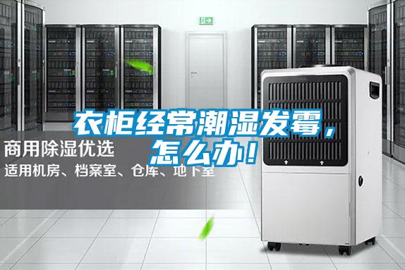 衣柜經(jīng)常潮濕發(fā)霉，怎么辦！