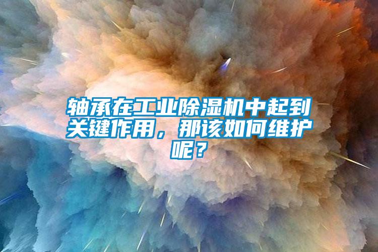 軸承在工業除濕機中起到關鍵作用,那該如何維護呢?