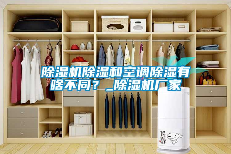 除濕機除濕和空調(diào)除濕有啥不同?_除濕機廠家
