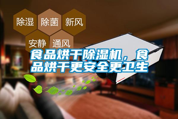 食品烘干除濕機(jī),食品烘干更安全更衛(wèi)生