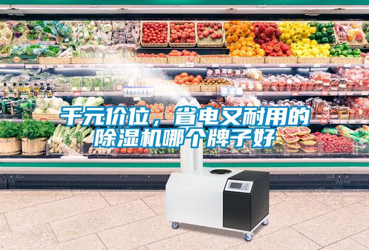 千元價位，省電又耐用的除濕機哪個牌子好