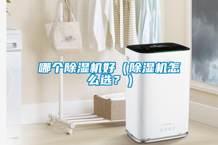 哪個(gè)除濕機(jī)好（除濕機(jī)怎么選？）