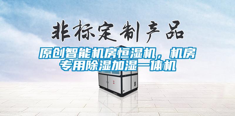 原創(chuàng)智能機房恒濕機,機房專用除濕加濕一體機