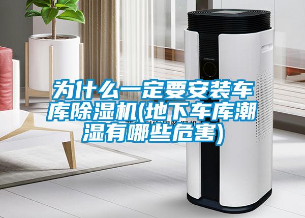 為什么一定要安裝車庫(kù)除濕機(jī)(地下車庫(kù)潮濕有哪些危害)