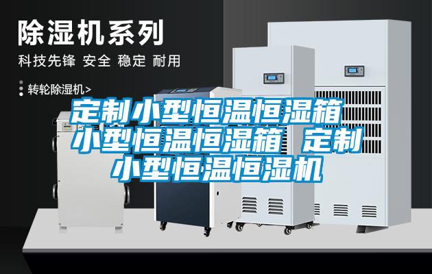 定制小型恒溫恒濕箱 小型恒溫恒濕箱 定制小型恒溫恒濕機(jī)